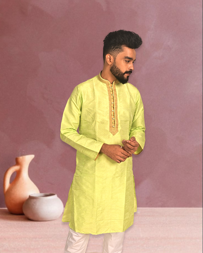 Premium Light Green Silk Kurta with Embroidery